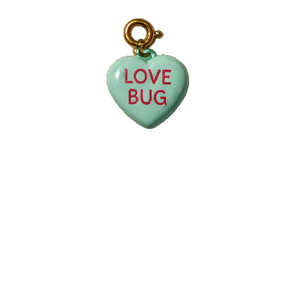 Love Bug Charm