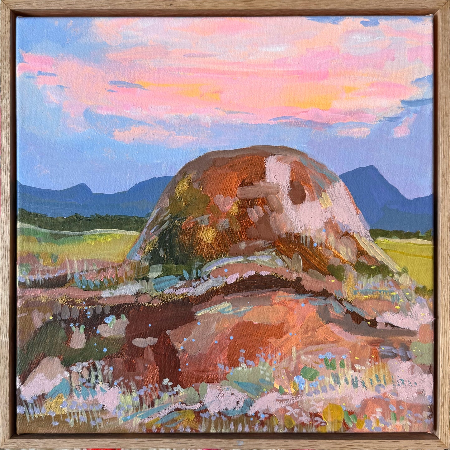 Warrumbungle Views