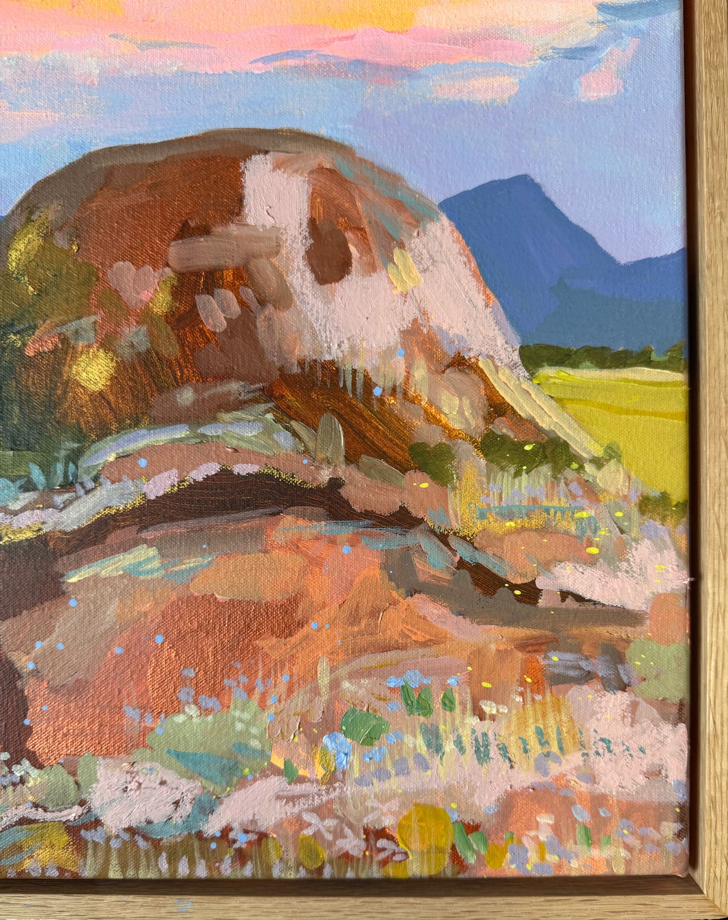 Warrumbungle Views