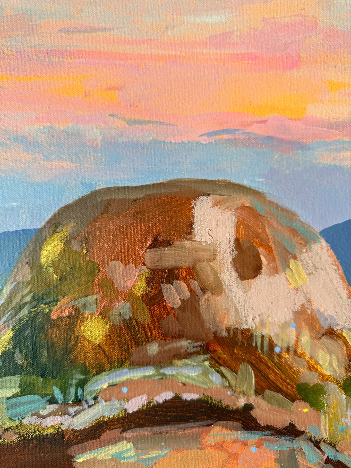 Warrumbungle Views