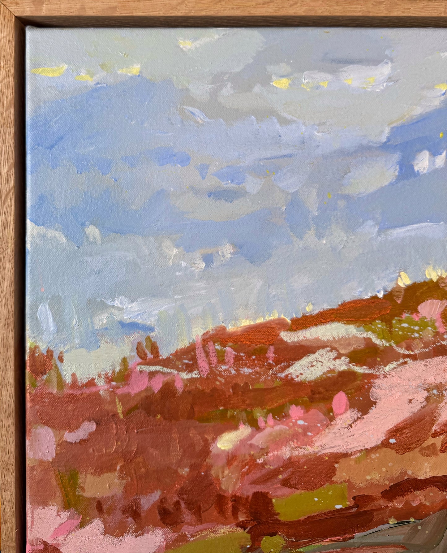 Scrublands