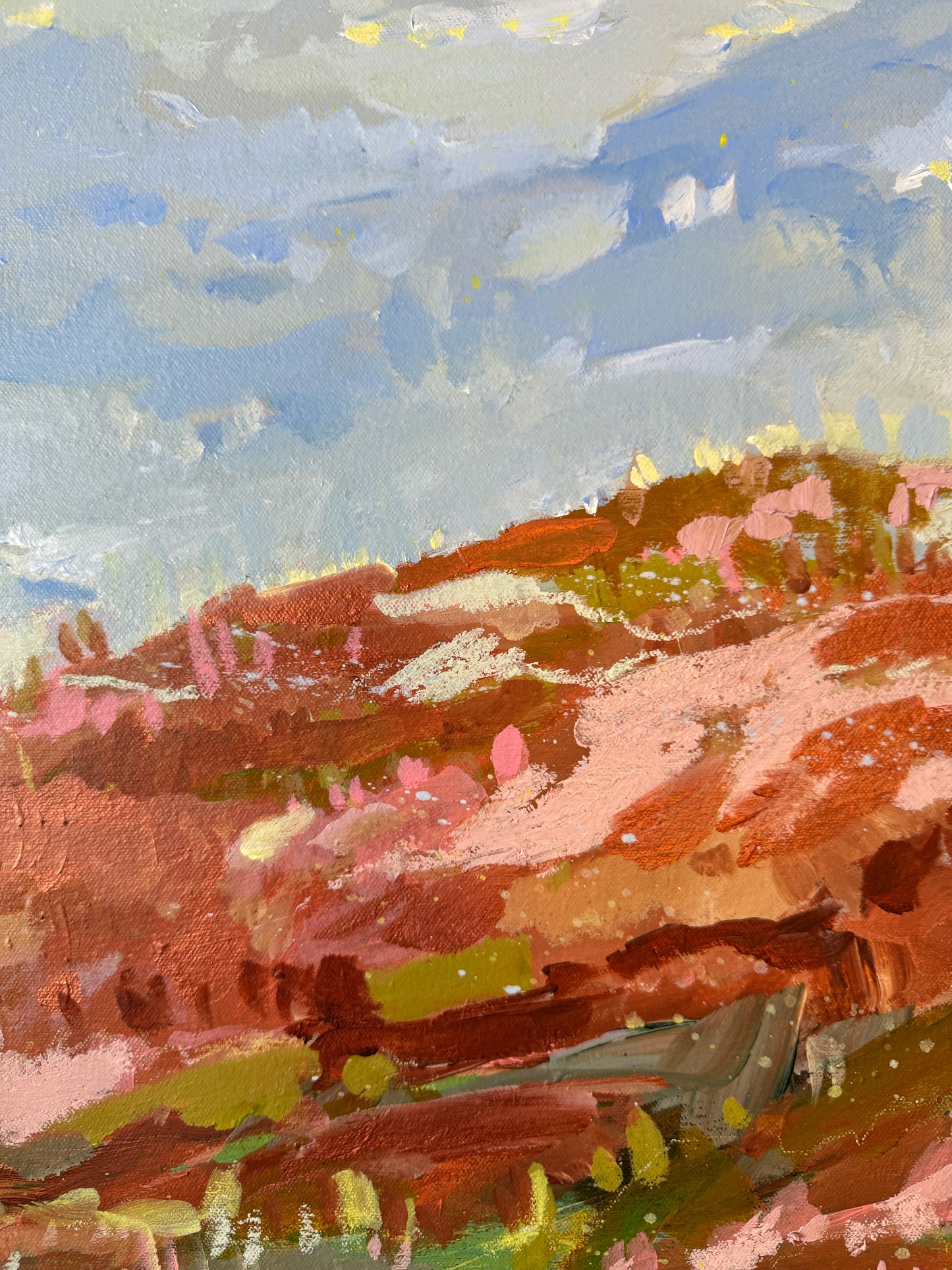 Scrublands