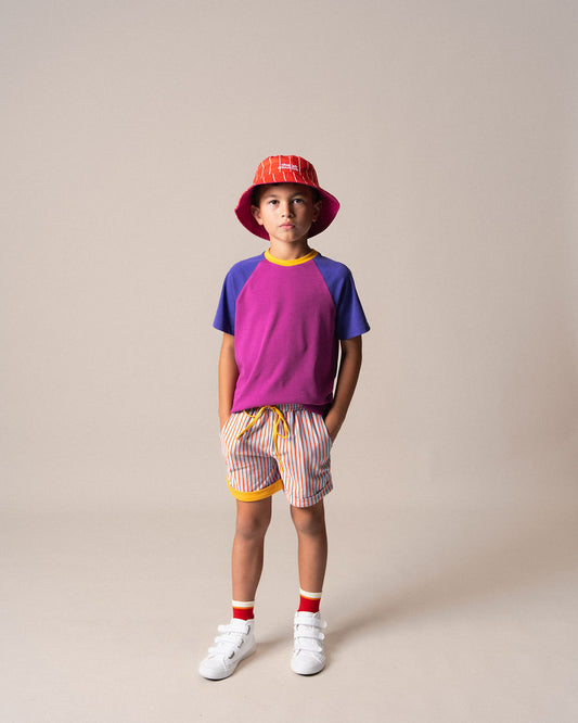 Raglan Tshirt in Purple