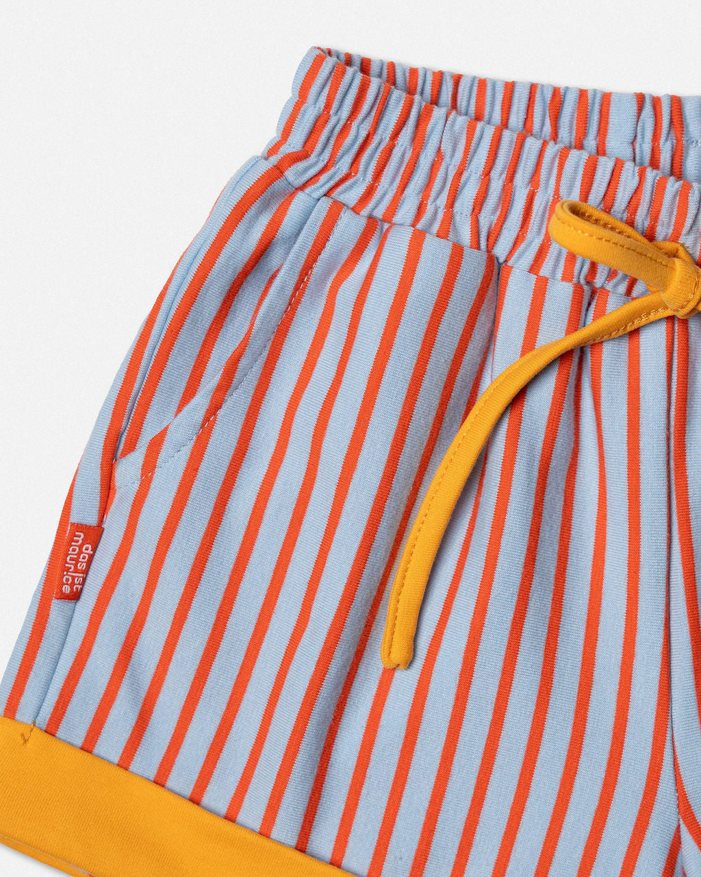 Shorts in Blue and Orange Stripe