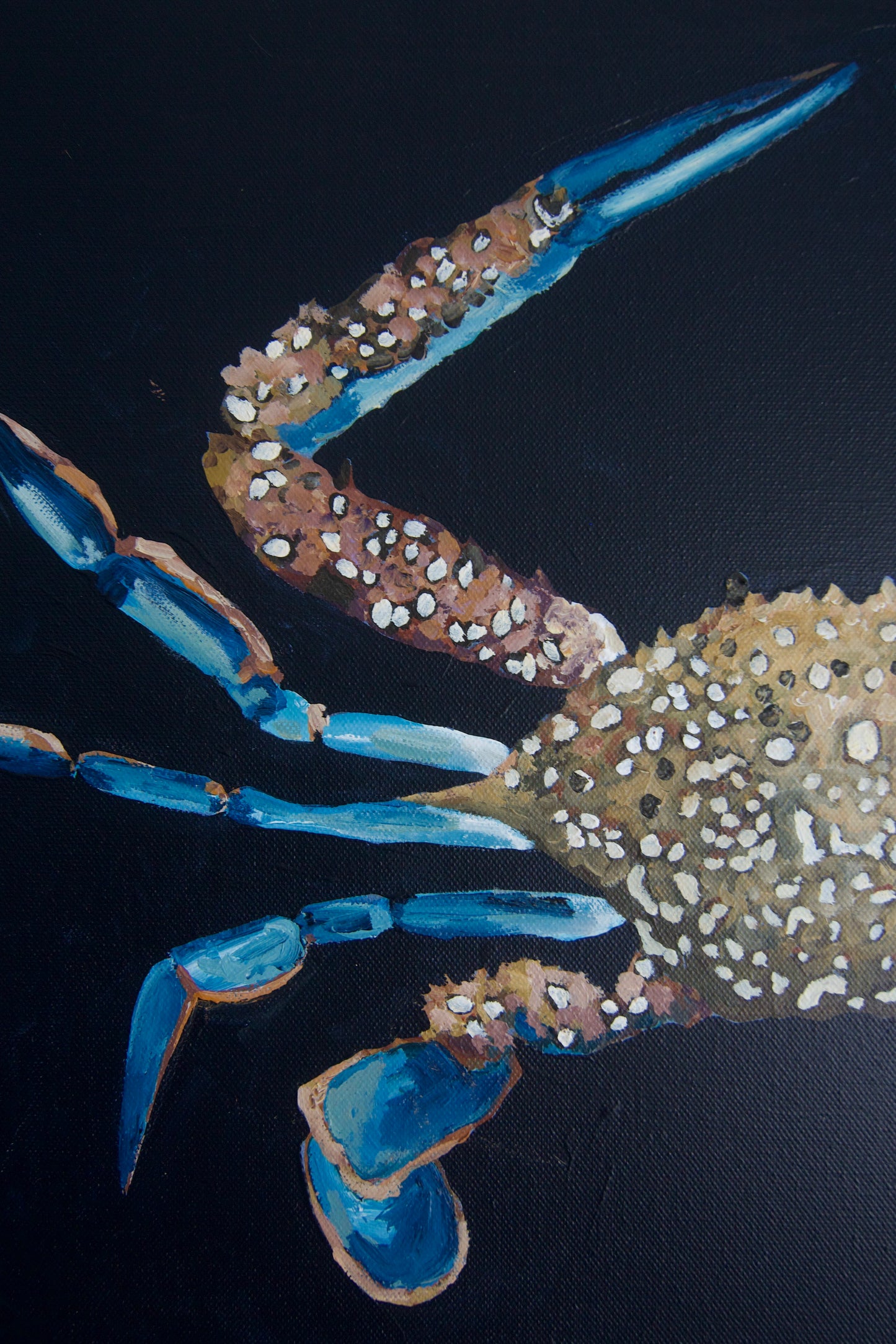 Costa Azzurra (Azure Coast)