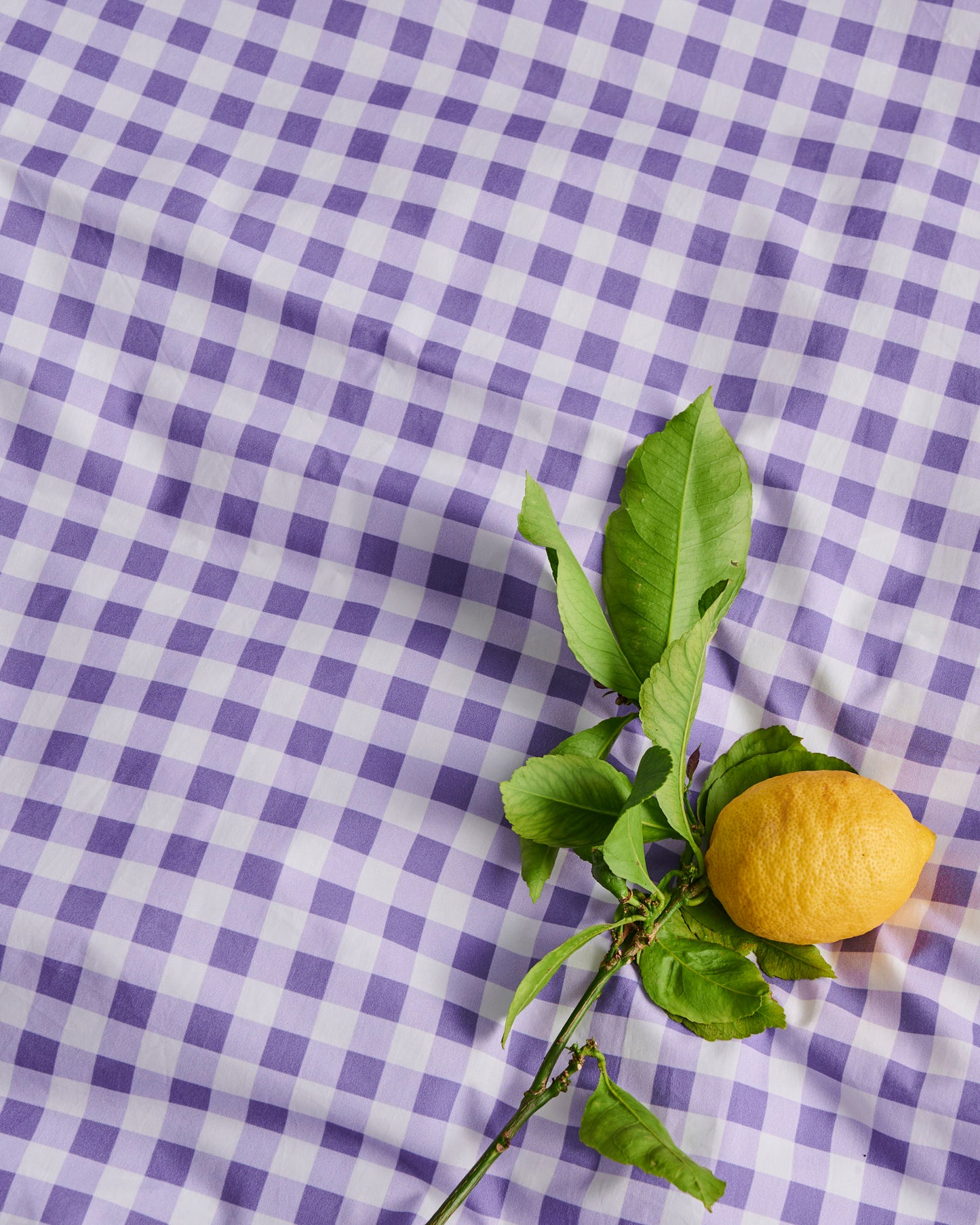 Lilac Gingham Organic Cotton Euro Pillowcases 2 Piece Set