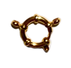 Spring Clasp