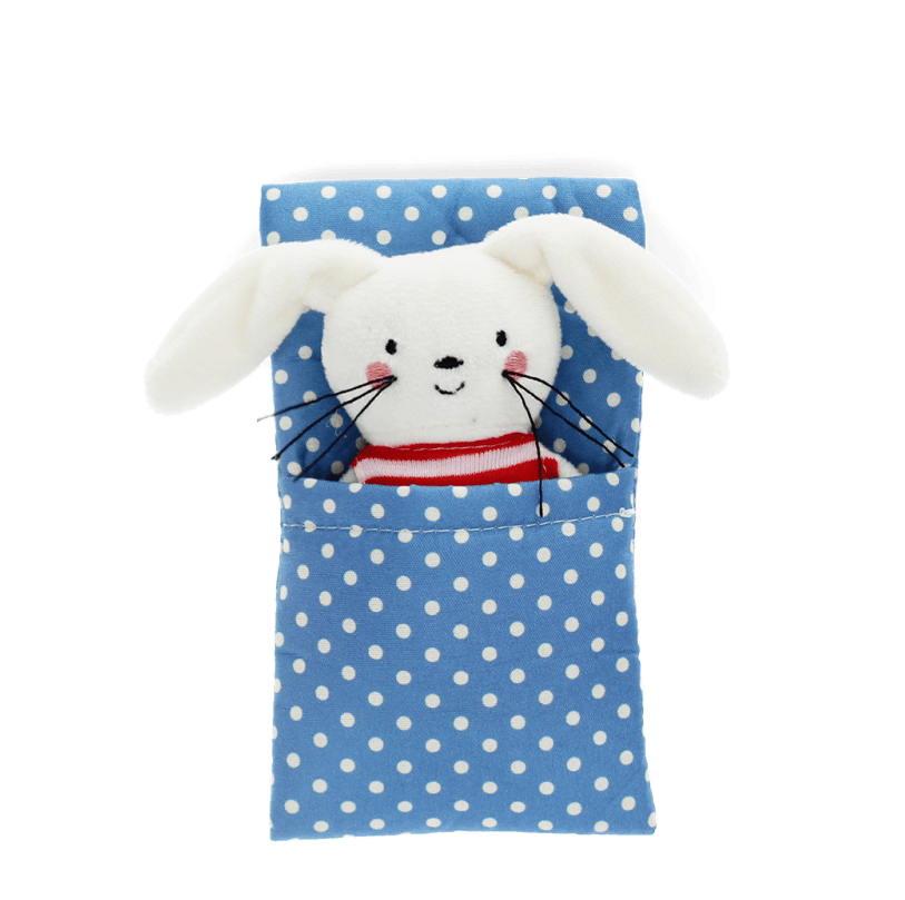 Mini Bunny in a Little Box