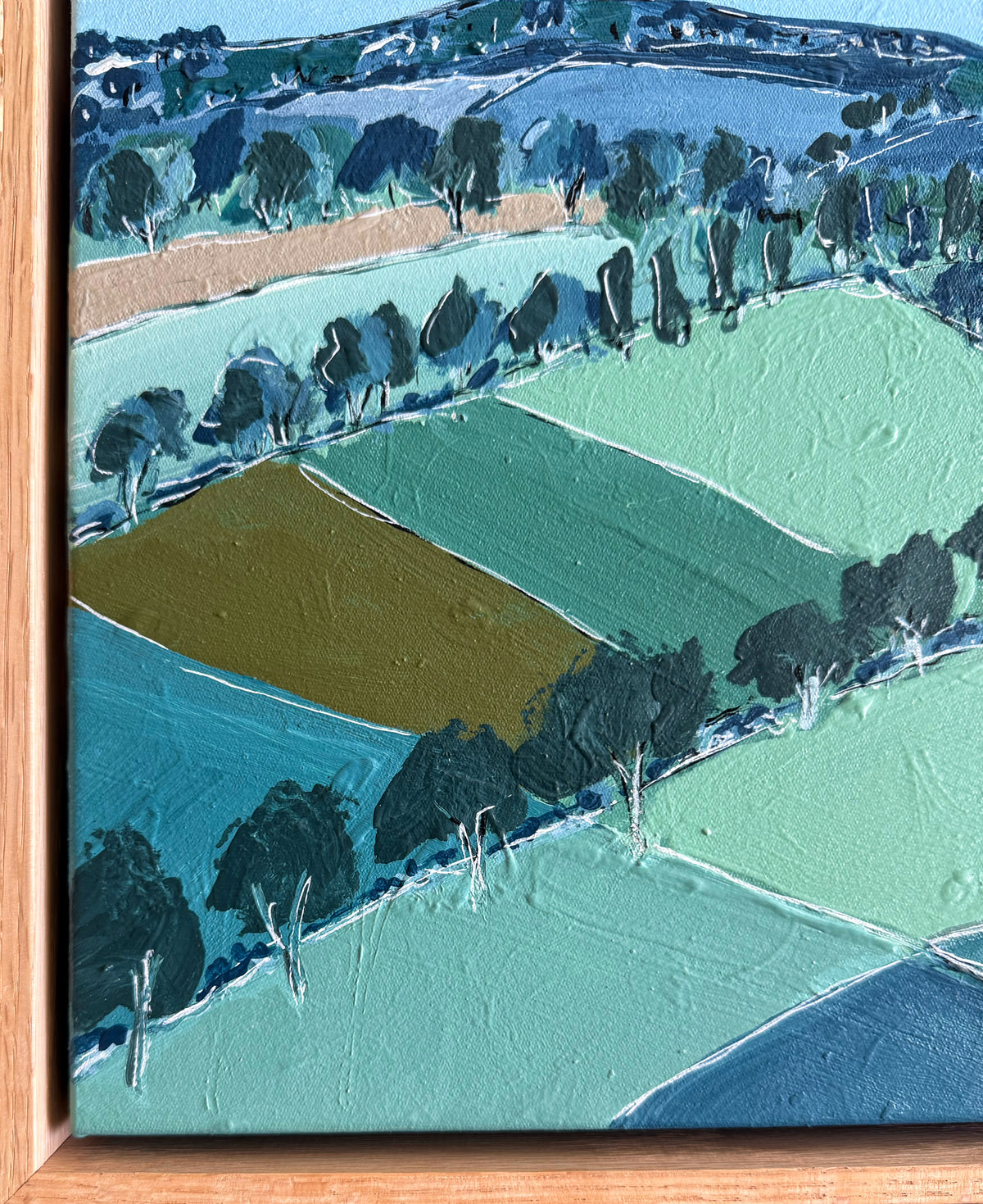 Blue Gum Views