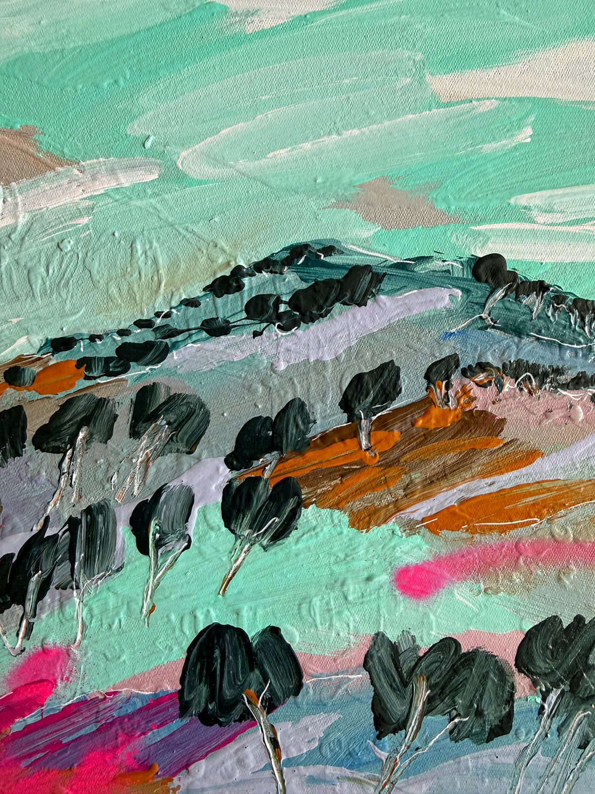 Wild Country
