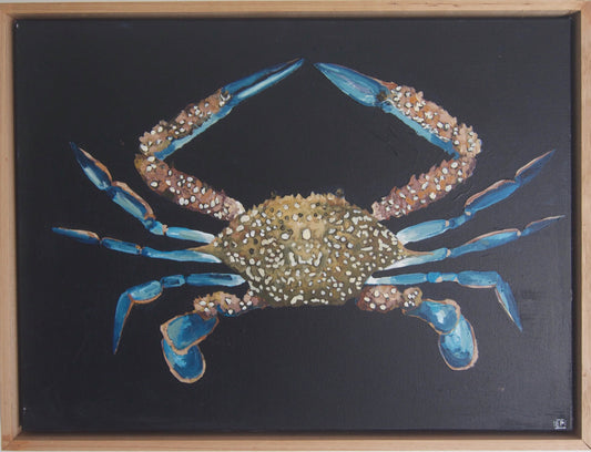 Costa Azzurra (Azure Coast)