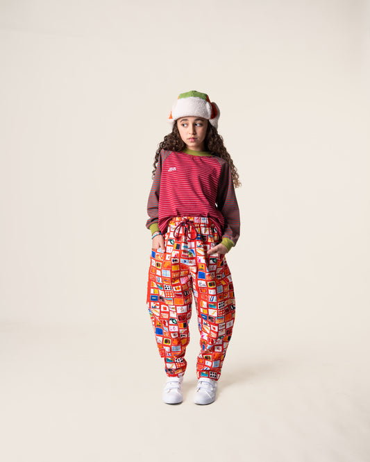 Raglan Long Sleeve T-shirt in Burgundy Stripe