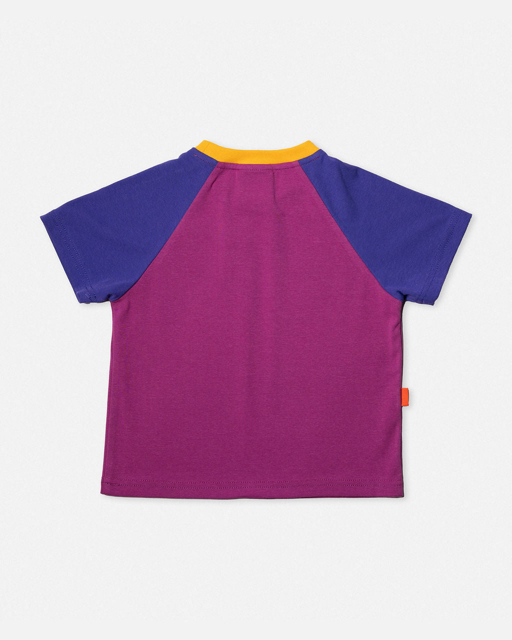 Raglan Tshirt in Purple