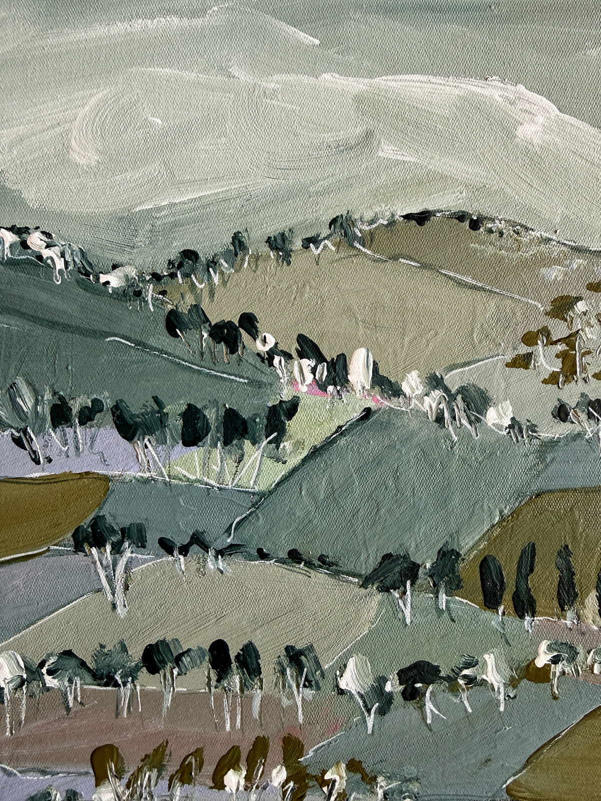 Mudgee Acres in Green