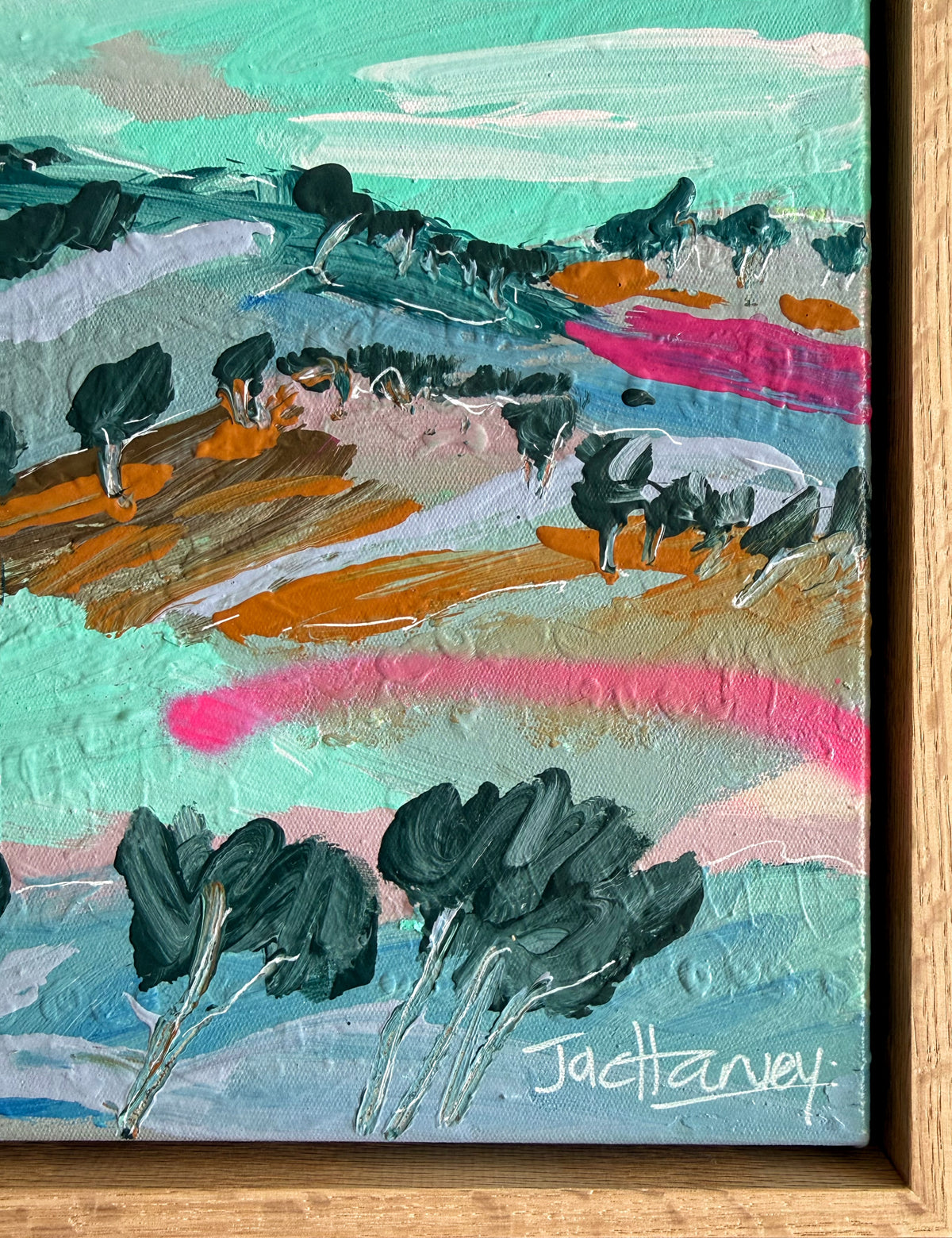 Wild Country