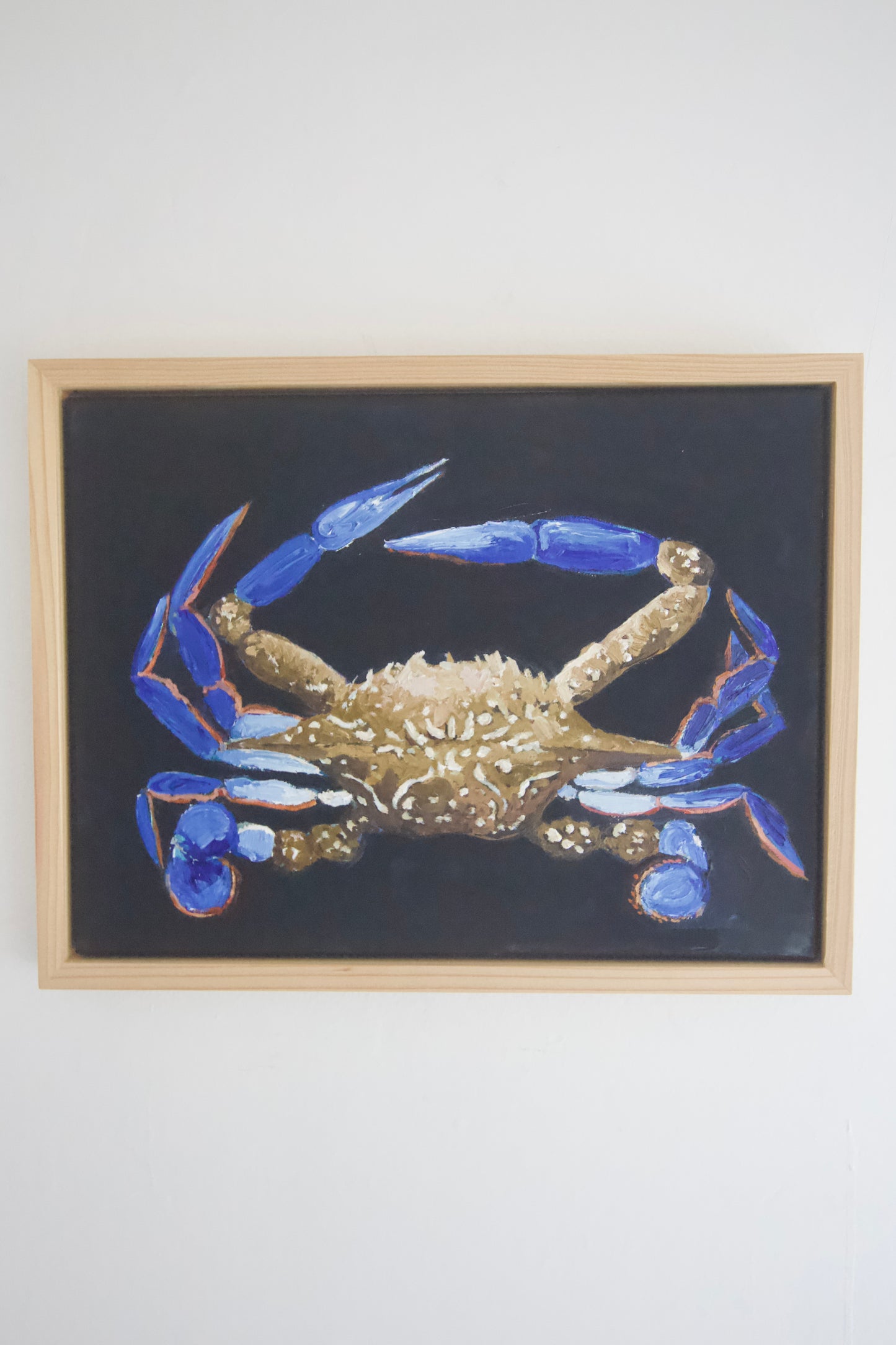 Costa Azzurra mini (Azure Coast mini)