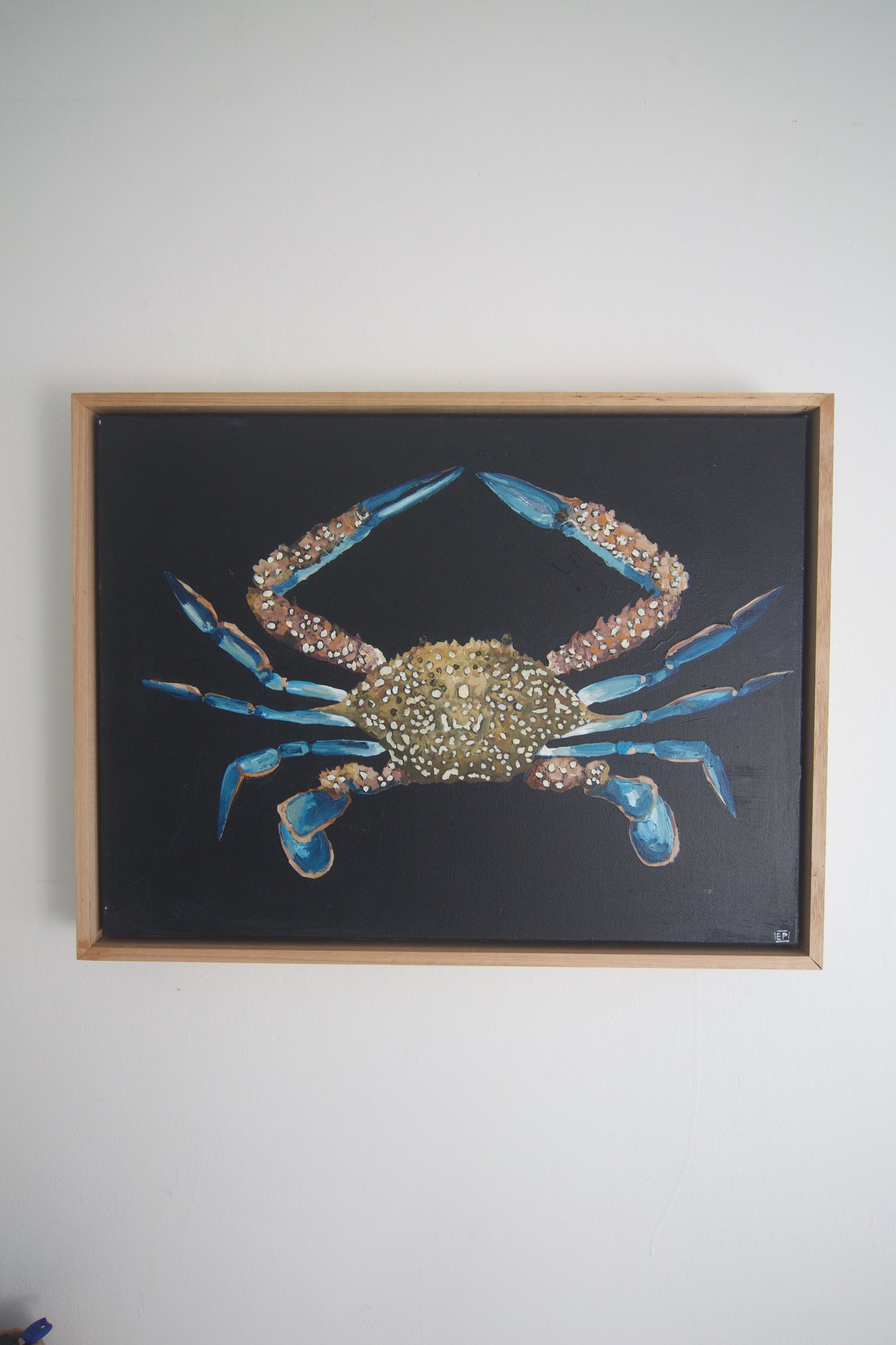 Costa Azzurra (Azure Coast)