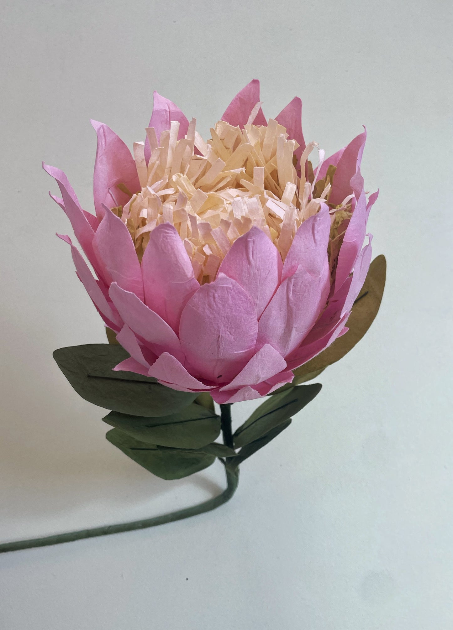 King Protea Paper Flower in Pink