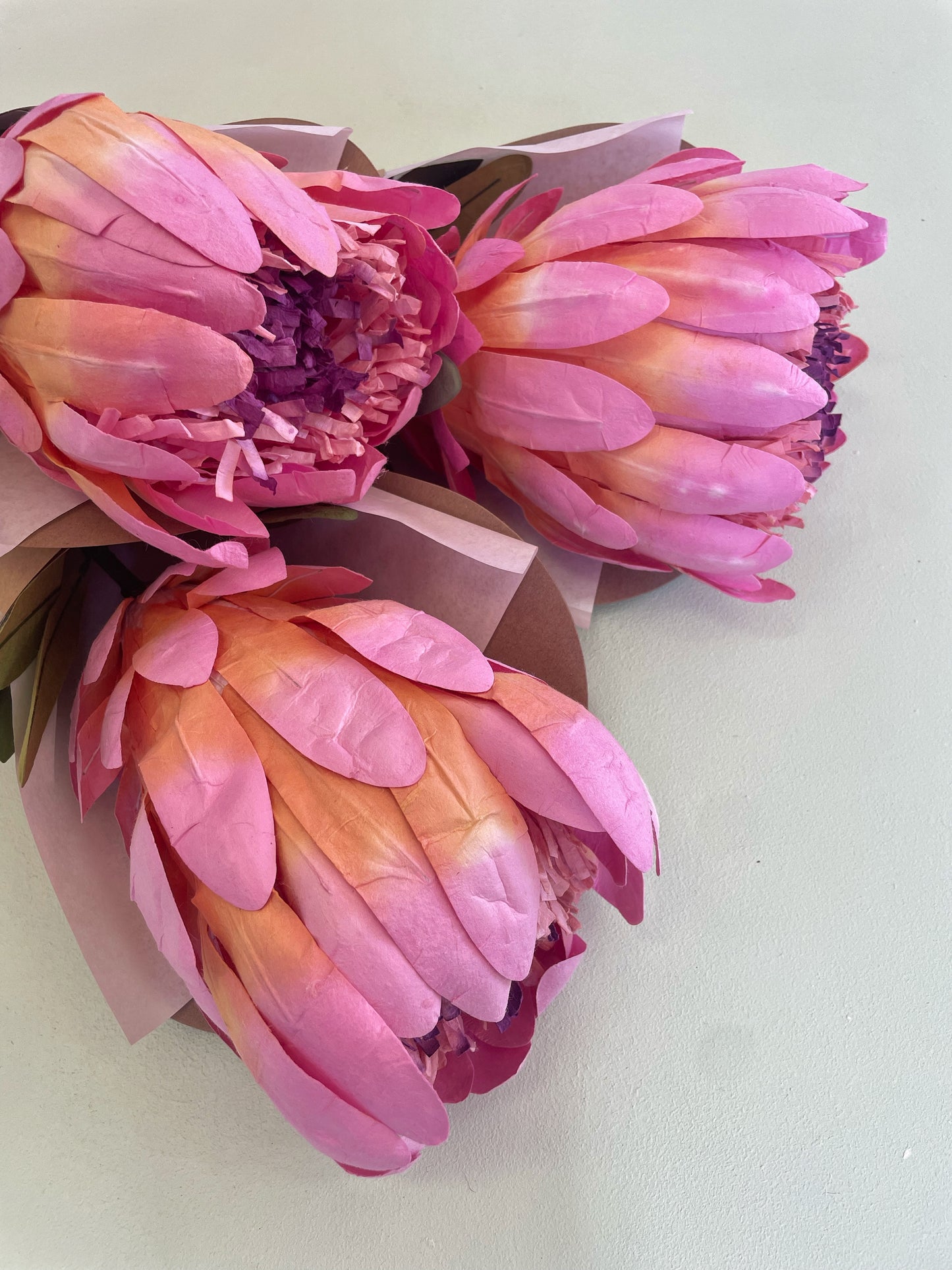 Princess Protea Paper Flower in Pink
