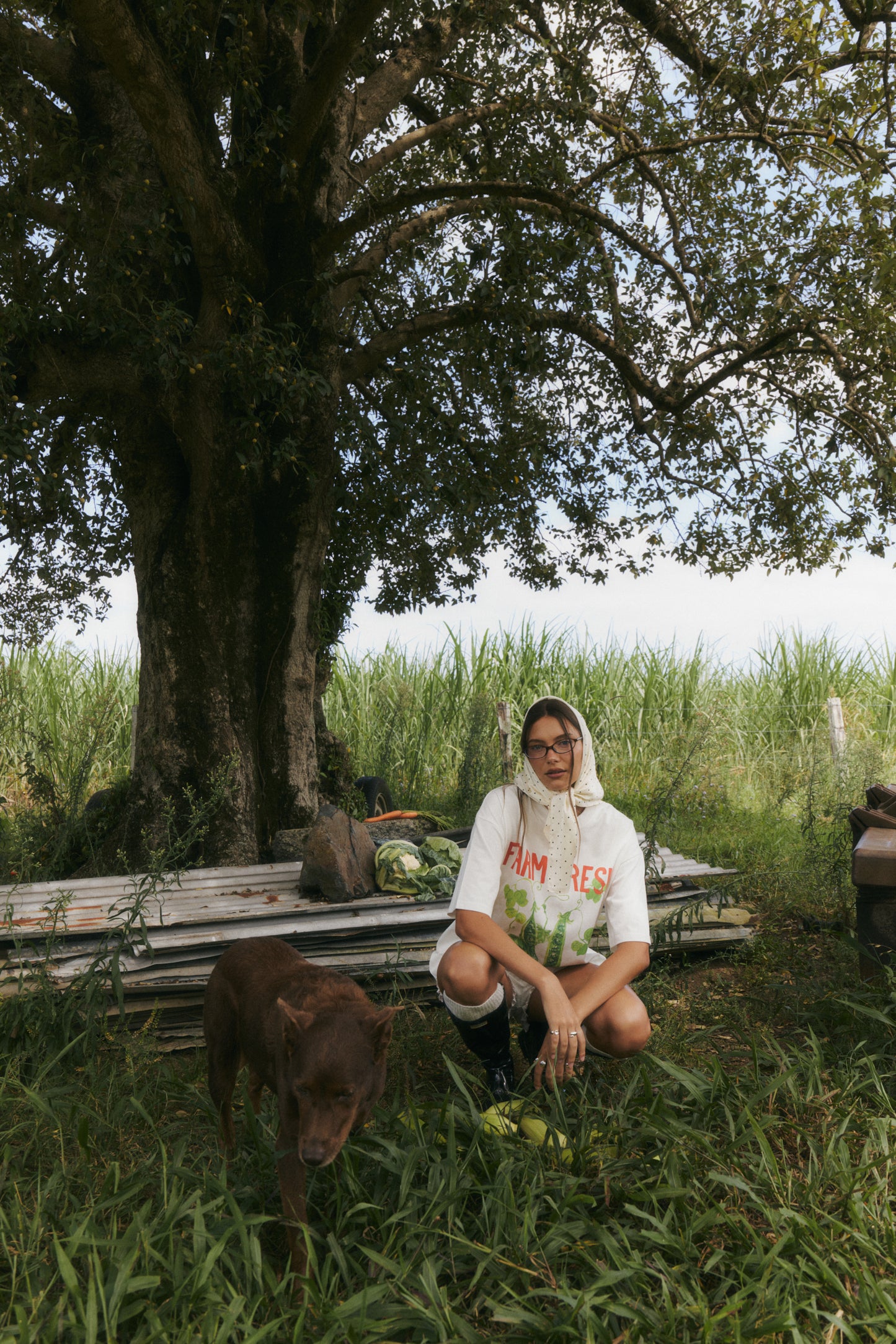 Farm Fresh Oversized Tee