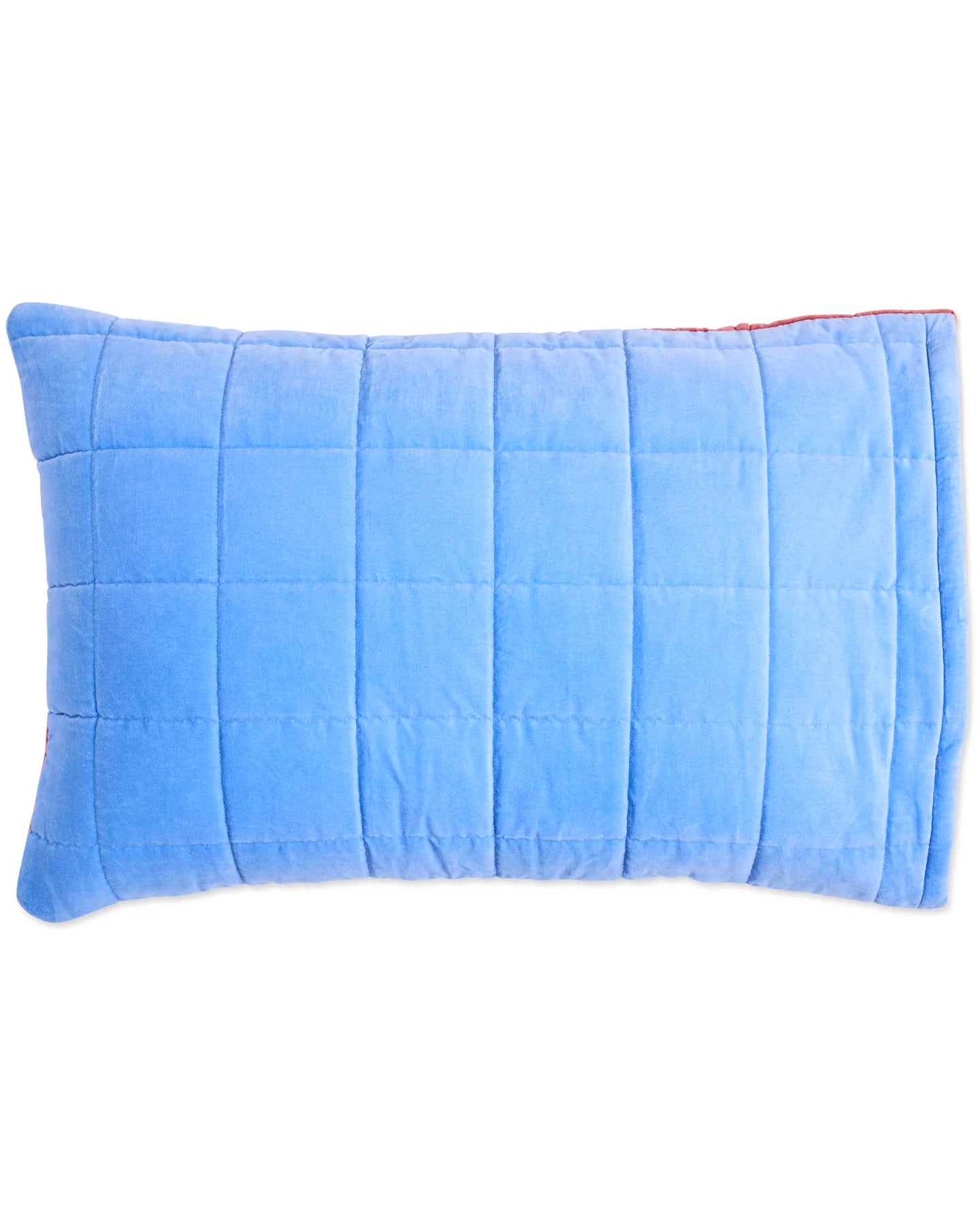 Blue Robin Velvet Quilted Pillowcases (Set of 2)
