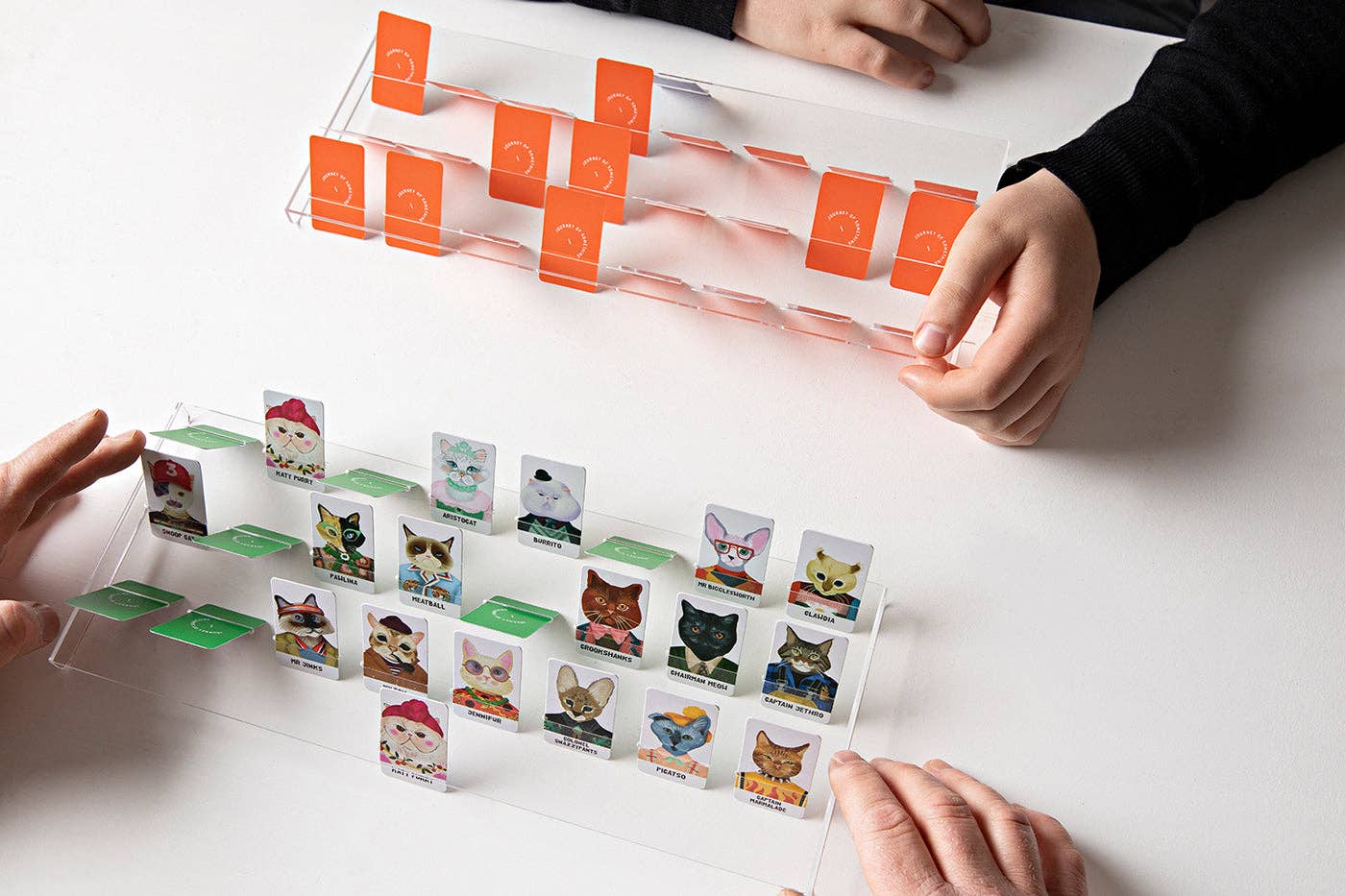 Guess The Feline Card Game