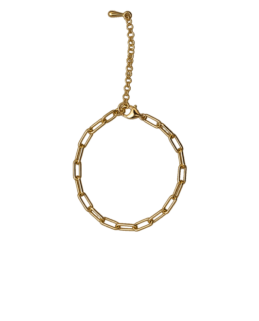 Paperclip Lobster Clasp Bracelet